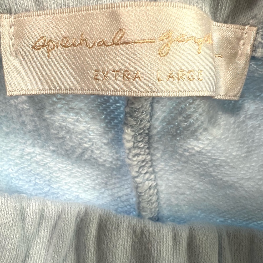 Spiritual Gangster Light Blue Sweatpants joggers Carpe Diem L or XL NWT - Picture 3 of 8